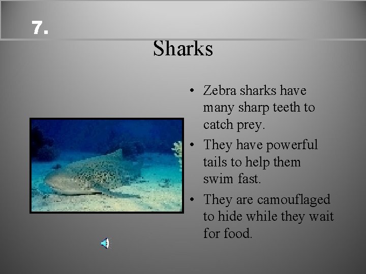 7. Sharks • Zebra sharks have many sharp teeth to catch prey. • They