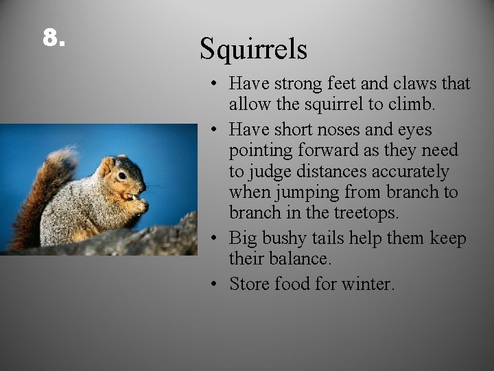 8. Squirrels • Have strong feet and claws that allow the squirrel to climb.