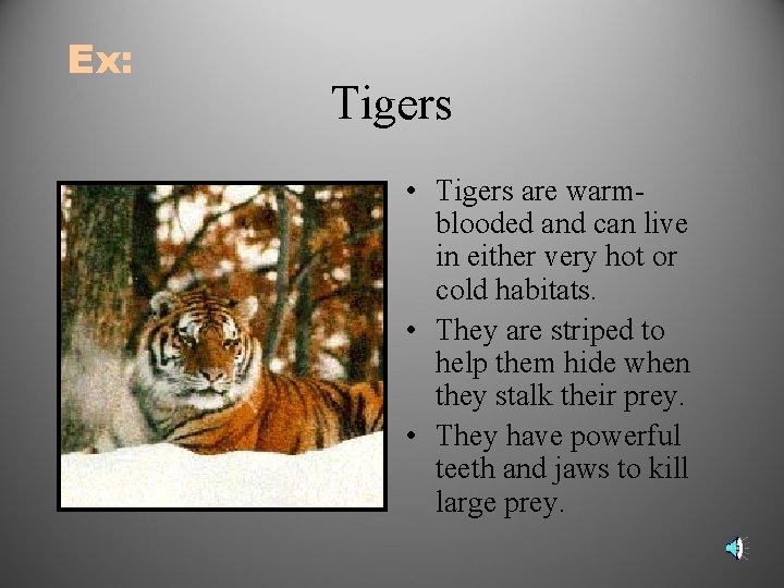 Ex: Tigers • Tigers are warmblooded and can live in either very hot or