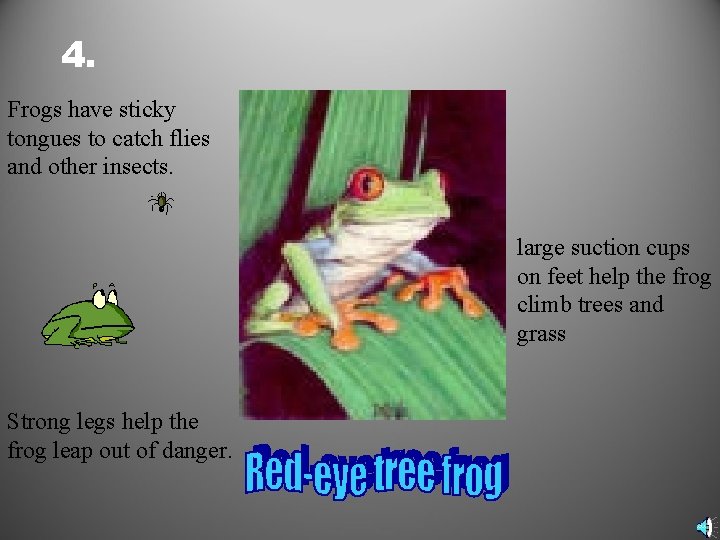 4. Frogs have sticky tongues to catch flies and other insects. large suction cups