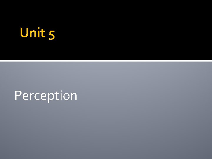 Unit 5 Perception 