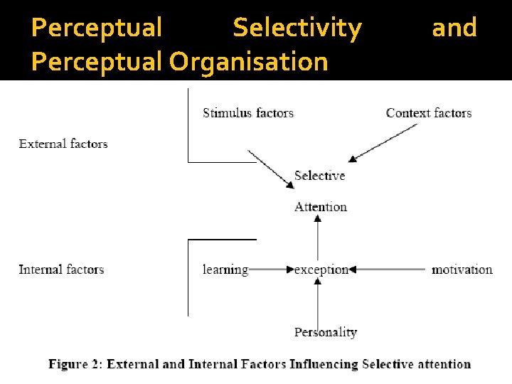 Perceptual Selectivity Perceptual Organisation and 