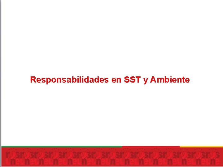 Responsabilidades en SST y Ambiente 