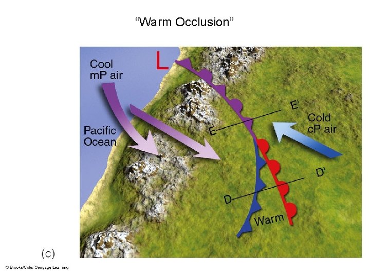 “Warm Occlusion” 