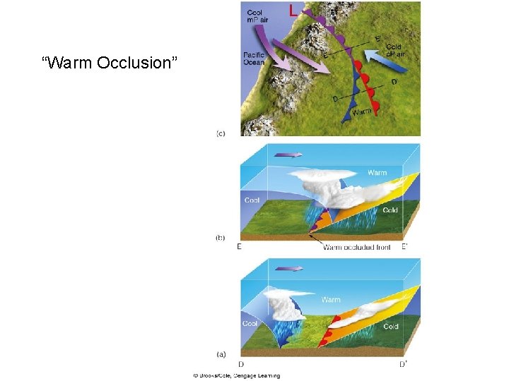 “Warm Occlusion” 