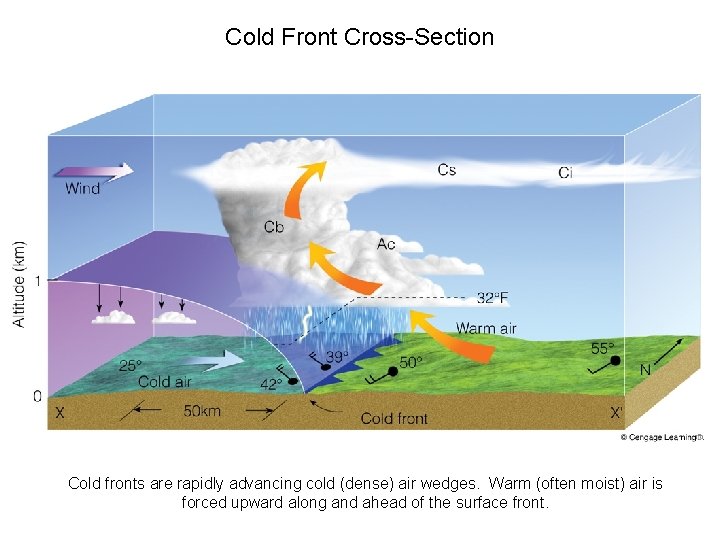 Cold Front Cross-Section Cold fronts are rapidly advancing cold (dense) air wedges. Warm (often