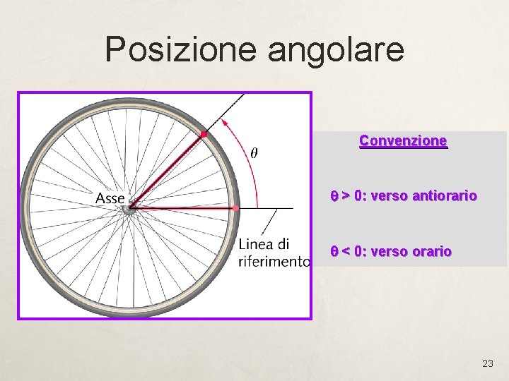 Posizione angolare Convenzione q > 0: verso antiorario q < 0: verso orario 23 Posizione angolare Convenzione q > 0: verso antiorario q < 0: verso orario 23