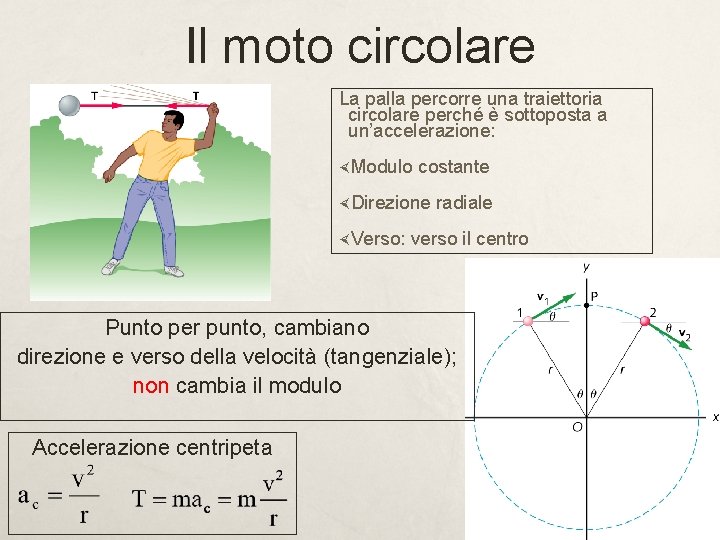 Il moto circolare La palla percorre una traiettoria circolare perché è sottoposta a un’accelerazione: Il moto circolare La palla percorre una traiettoria circolare perché è sottoposta a un’accelerazione: