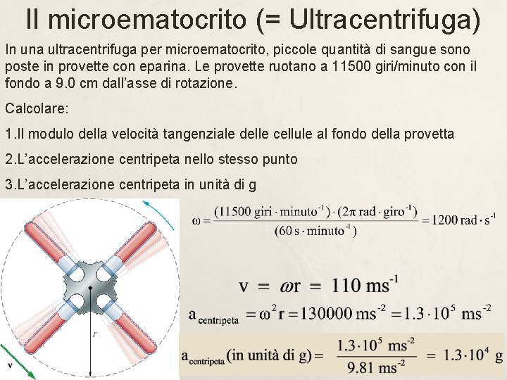 Il microematocrito (= Ultracentrifuga) In una ultracentrifuga per microematocrito, piccole quantità di sangue sono Il microematocrito (= Ultracentrifuga) In una ultracentrifuga per microematocrito, piccole quantità di sangue sono