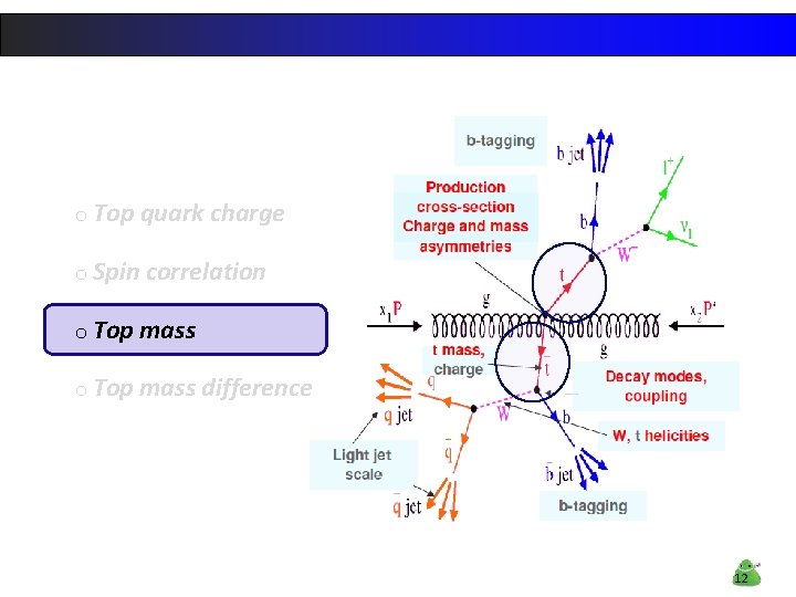 o Top quark charge o Spin correlation o Top mass difference 12 