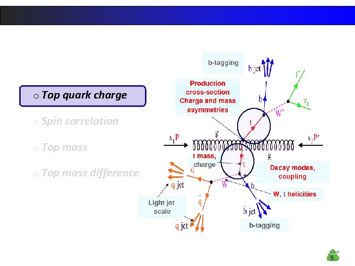 o Top quark charge o Spin correlation o Top mass difference 5 