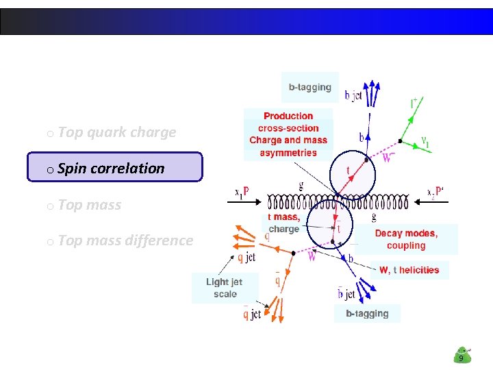 o Top quark charge o Spin correlation o Top mass difference 9 