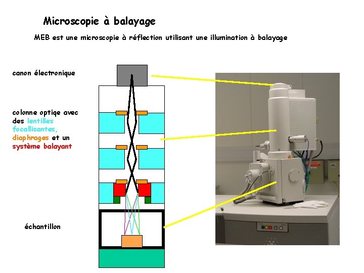 Microscopie à balayage MEB est une microscopie à réflection utilisant une illumination à balayage