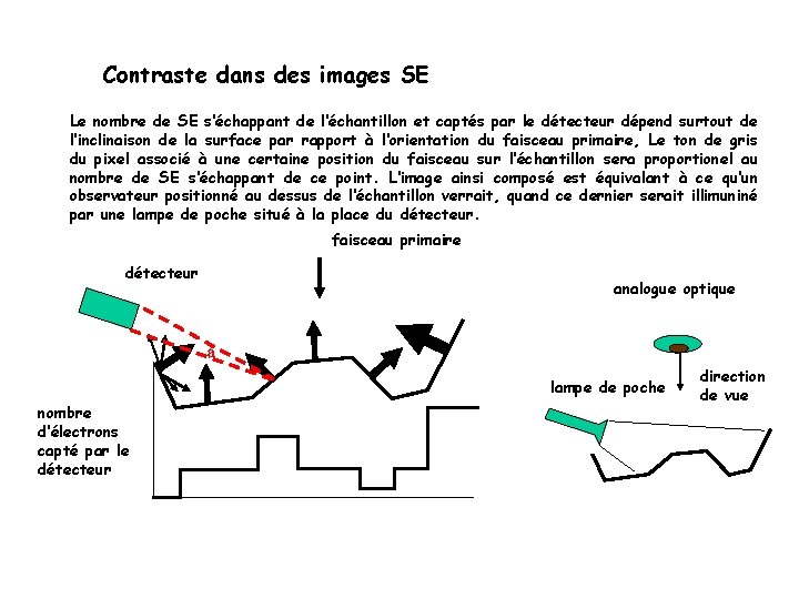 Contraste dans des images SE Le nombre de SE s‘échappant de l‘échantillon et captés