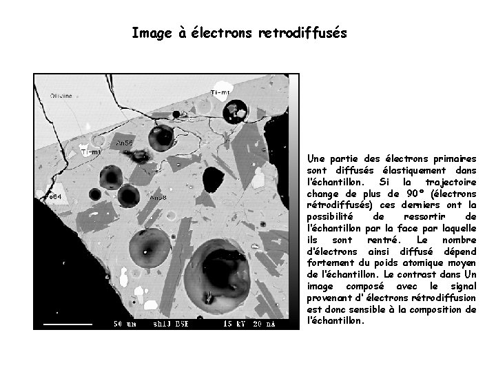 Image à électrons retrodiffusés Une partie des électrons primaires sont diffusés élastiquement dans l‘échantillon.