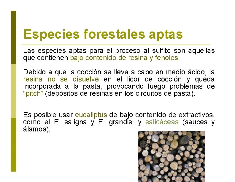 Especies forestales aptas Las especies aptas para el proceso al sulfito son aquellas que
