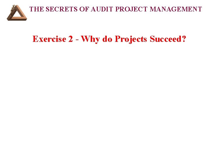 THE SECRETS OF AUDIT PROJECT MANAGEMENT Exercise 2 - Why do Projects Succeed? 