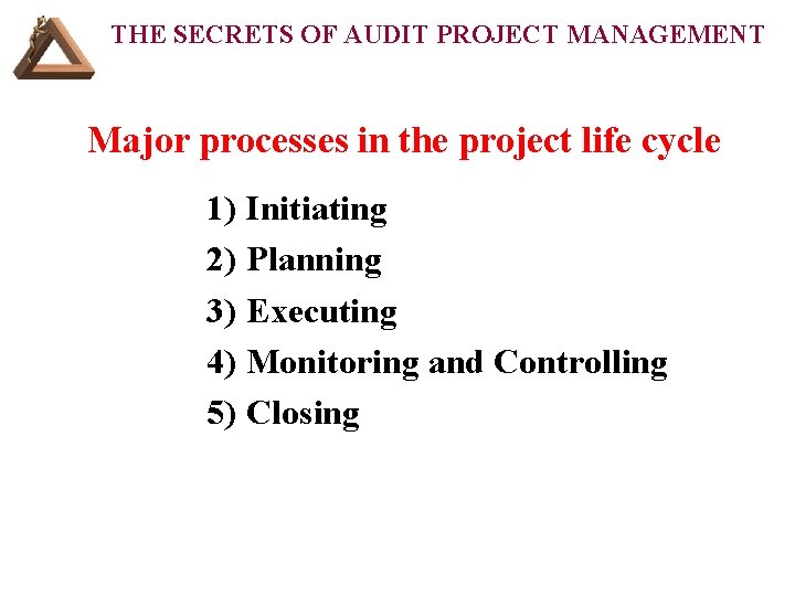 THE SECRETS OF AUDIT PROJECT MANAGEMENT Major processes in the project life cycle 1)