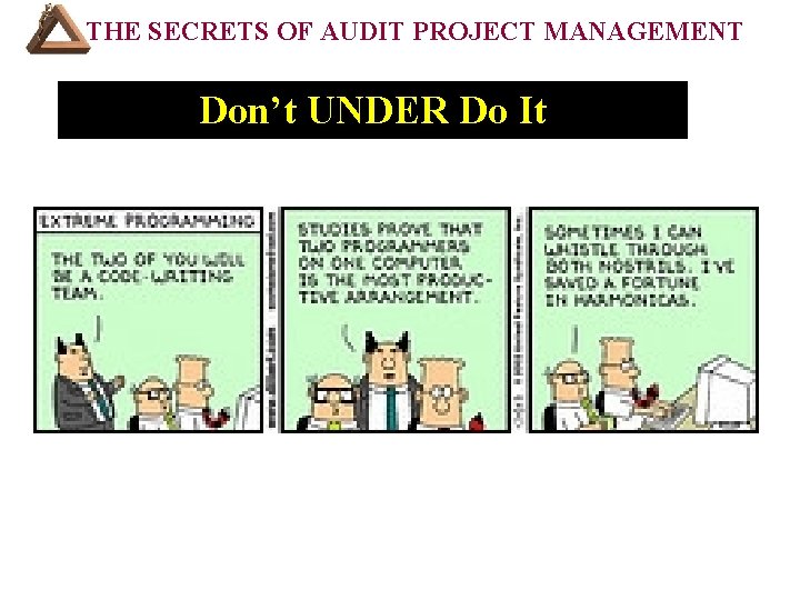 THE SECRETS OF AUDIT PROJECT MANAGEMENT Don’t UNDER Do It • VII. Resources Your