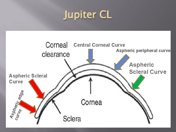 Jupiter CL Central Corneal Curve Aspheric peripheral curve Asp cur heric ve edg e