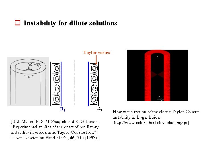 o Instability for dilute solutions Taylor vortex R 1 R 2 [S. J. Muller,