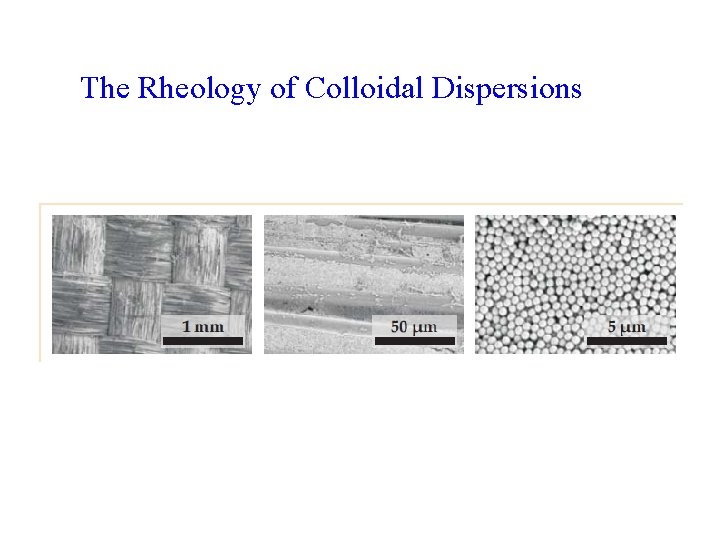 The Rheology of Colloidal Dispersions 