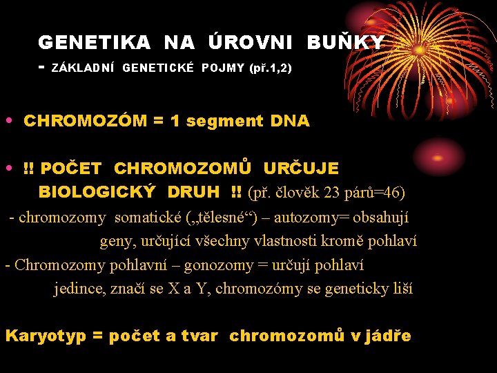 GENETIKA NA ÚROVNI BUŇKY - ZÁKLADNÍ GENETICKÉ POJMY (př. 1, 2) • CHROMOZÓM =