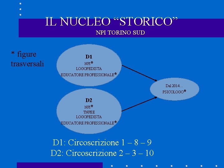 IL NUCLEO “STORICO” NPI TORINO SUD * figure trasversali D 1 NPI* LOGOPEDISTA EDUCATORE
