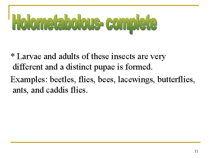 * Larvae and adults of these insects are very different and a distinct pupae