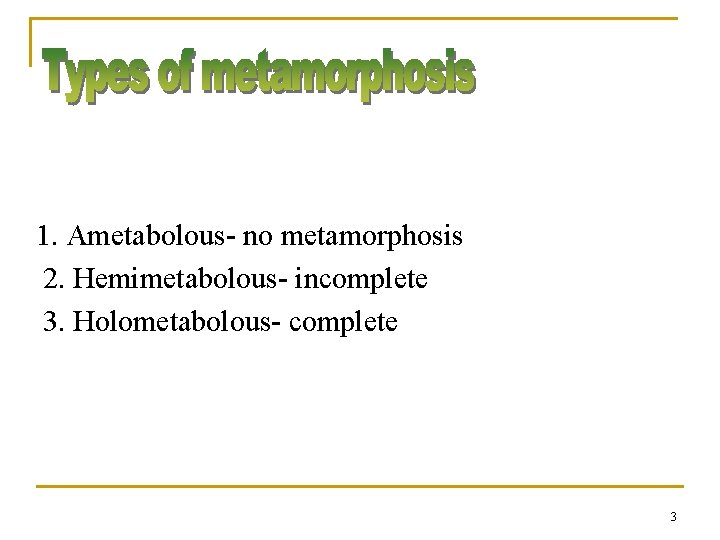 1. Ametabolous- no metamorphosis 2. Hemimetabolous- incomplete 3. Holometabolous- complete 3 