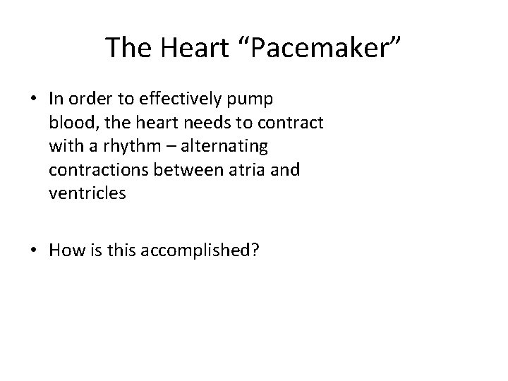 The Heart “Pacemaker” • In order to effectively pump blood, the heart needs to
