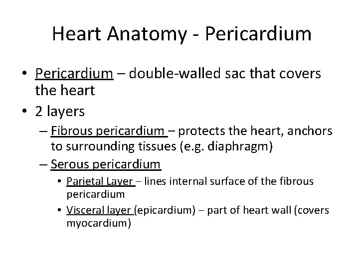 Heart Anatomy - Pericardium • Pericardium – double-walled sac that covers the heart •