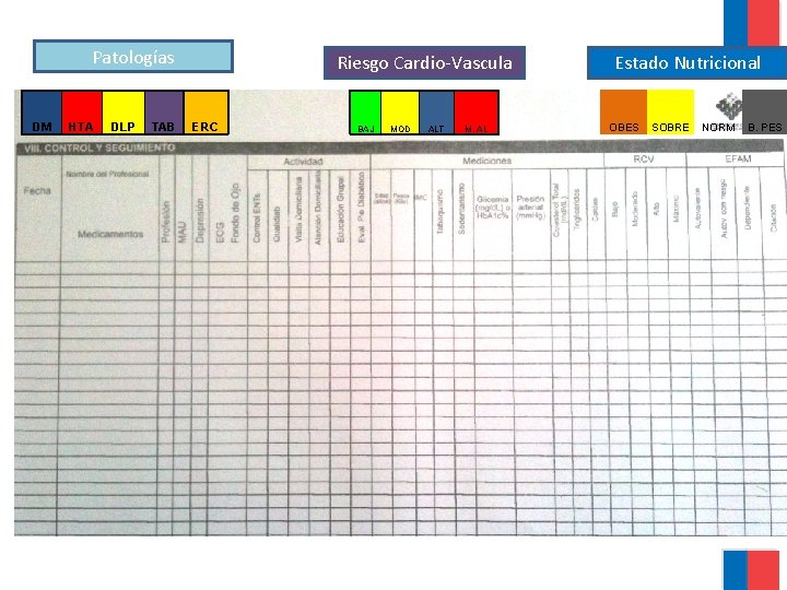 Patologías DM HTA DLP TAB Riesgo Cardio-Vascula ERC BAJ MOD ALT M. AL Estado