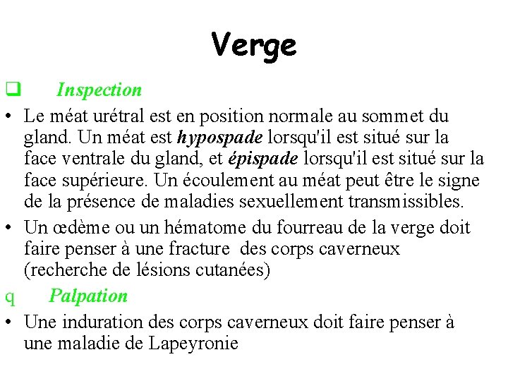 Verge q Inspection • Le méat urétral est en position normale au sommet du