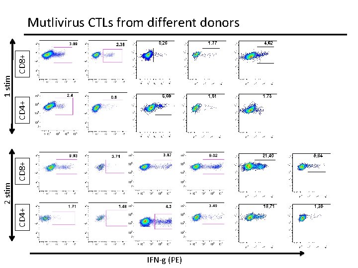 CD 4+ 2 stim CD 8+ CD 4+ 1 stim CD 8+ Mutlivirus CTLs