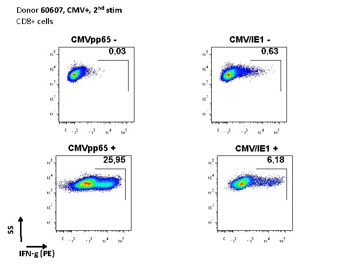 Donor 60607, CMV+, 2 nd stim CD 8+ cells CMVpp 65 - SS CMVpp