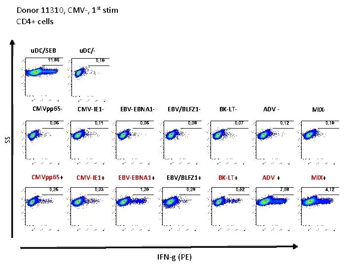 Donor 11310, CMV-, 1 st stim CD 4+ cells u. DC/- CMVpp 65 -