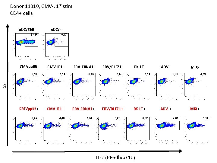 Donor 11310, CMV-, 1 st stim CD 4+ cells u. DC/SEB u. DC/- CMV-IE