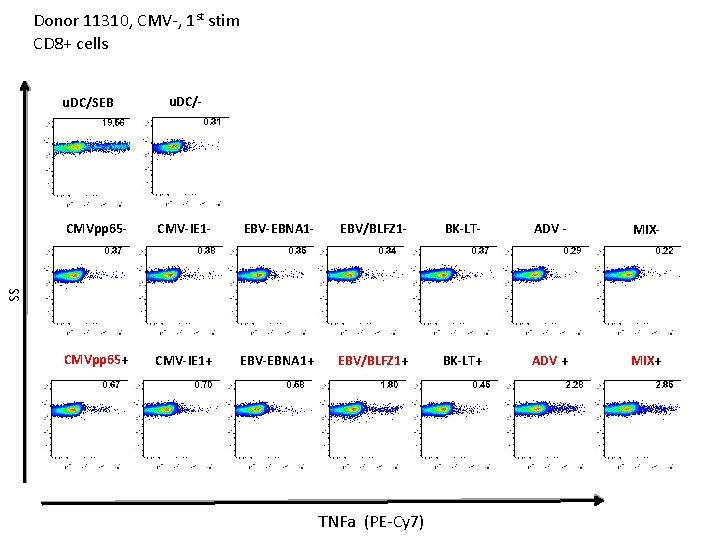 Donor 11310, CMV-, 1 st stim CD 8+ cells u. DC/SEB u. DC/- CMV-IE