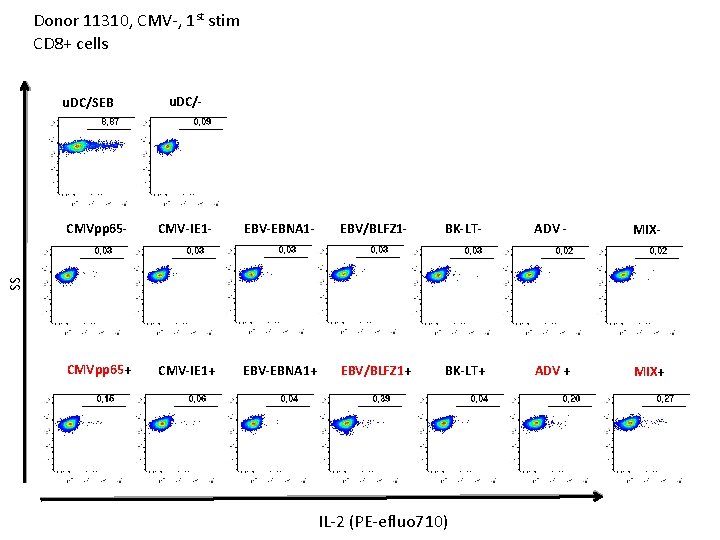 Donor 11310, CMV-, 1 st stim CD 8+ cells u. DC/SEB u. DC/- CMV-IE