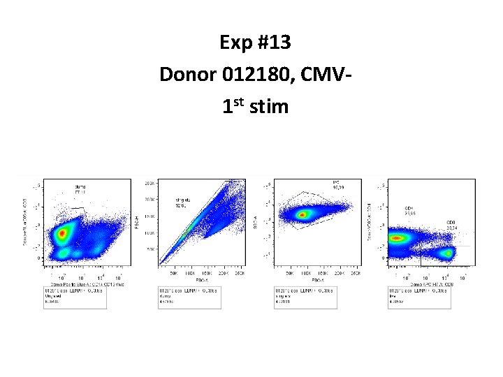 Exp #13 Donor 012180, CMV 1 st stim 