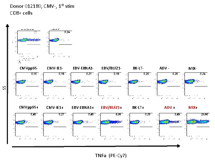 Donor 012180, CMV-, 1 st stim CD 8+ cells u. DC/SEB u. DC/- CMV-IE