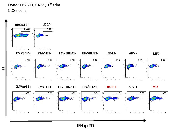 Donor 062311, CMV-, 1 st stim CD 8+ cells u. DC/SEB u. DC/- CMV-IE