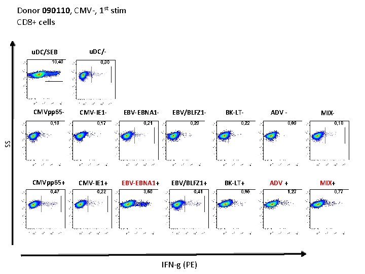 Donor 090110, CMV-, 1 st stim CD 8+ cells u. DC/SEB u. DC/- CMV-IE