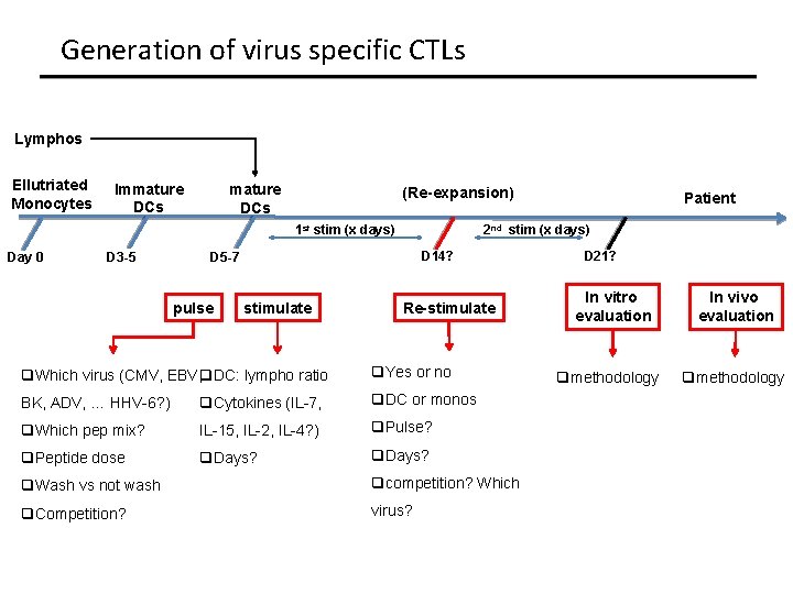 Generation of virus specific CTLs Lymphos Ellutriated Monocytes Immature DCs (Re-expansion) 1 st stim
