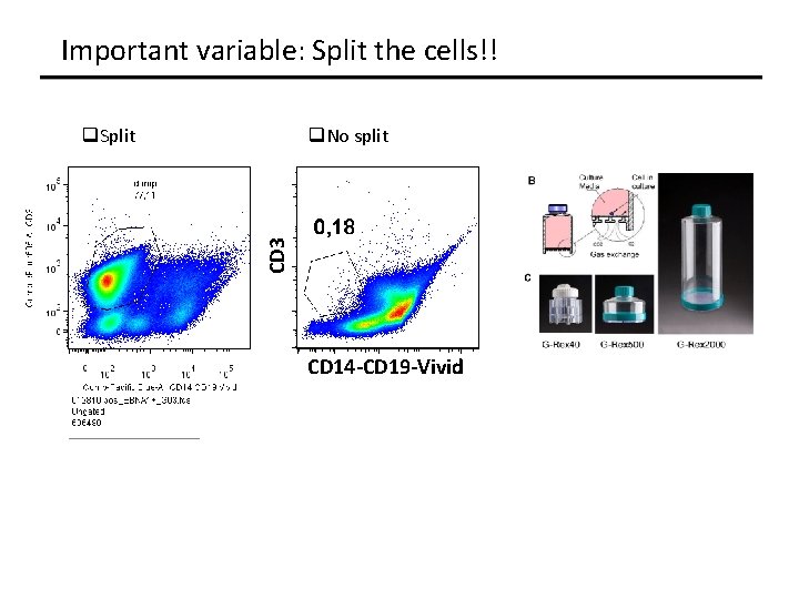 Important variable: Split the cells!! q. No split CD 3 q. Split CD 14