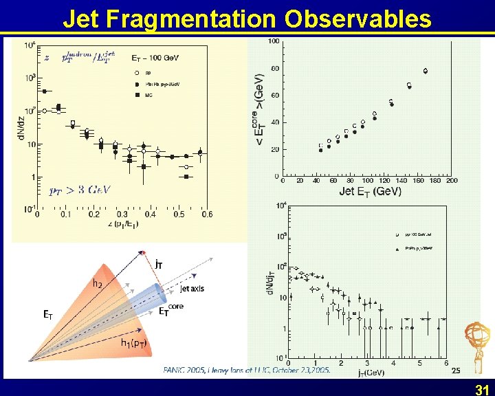 Jet Fragmentation Observables 31 