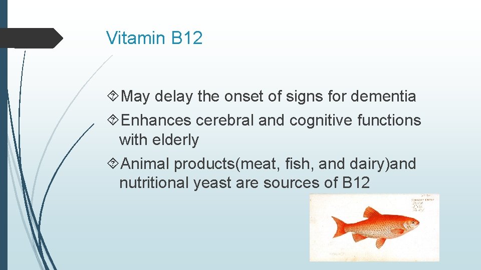 Vitamin B 12 May delay the onset of signs for dementia Enhances cerebral and
