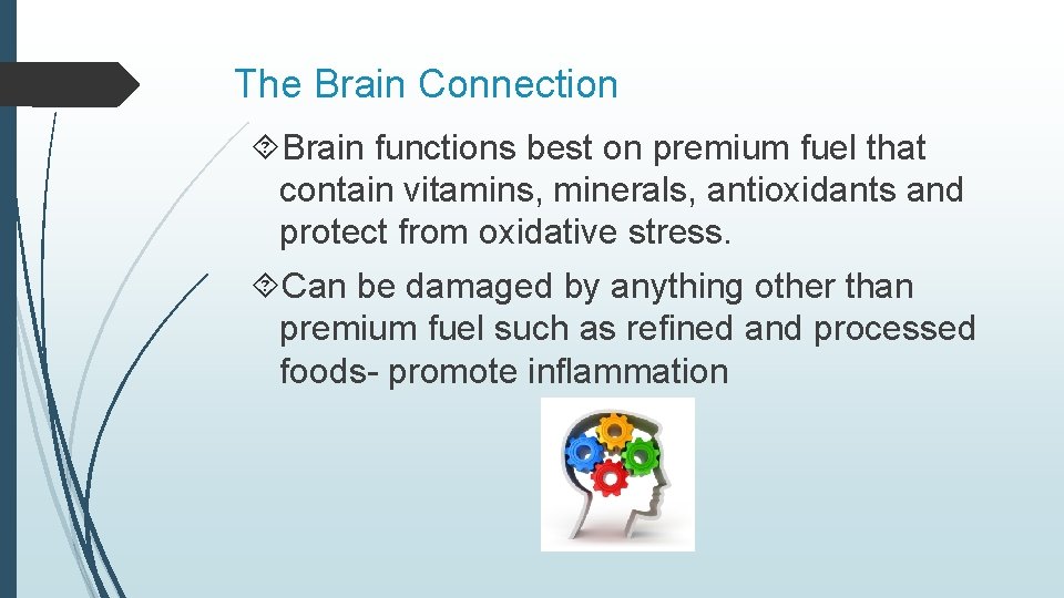 The Brain Connection Brain functions best on premium fuel that contain vitamins, minerals, antioxidants