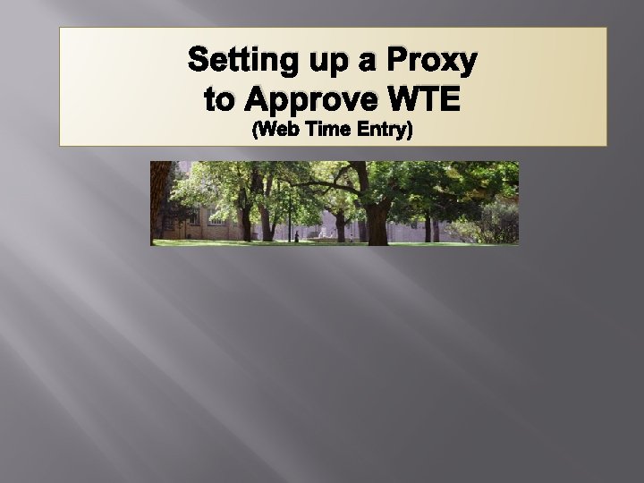 Setting up a Proxy to Approve WTE (Web Time Entry) 